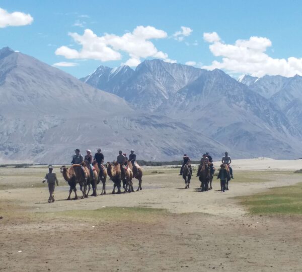 Ladakh Bike Tour